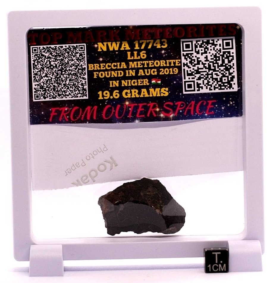 Meteorito de brecha NWA 17713 LL6 Meteorito de condrite - 19.6 g - (1) #3.2