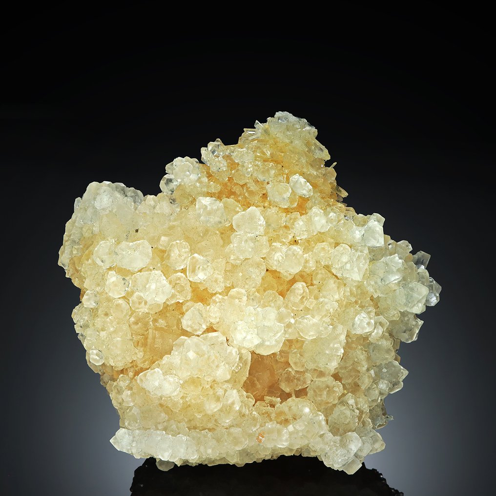 Πιστοποιημένο για μουσεία! Παλαιό πορτοκαλί GYPSUM SELENITE σε οκτάεδρο SYLVITE με HALITE. Σύμπλεγμα κρυστάλλων - Ύψος: 17 cm - Πλάτος: 19 cm- 2425 g #3.2