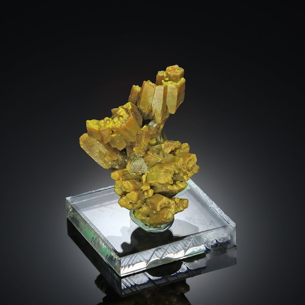 Παλαιό βοτριωδές PYROMORPHITE από τη Γαλλία «Ex Erik Larsen» Δείγμα - Ύψος: 4 cm - Πλάτος: 3 cm- 42 g #1.0