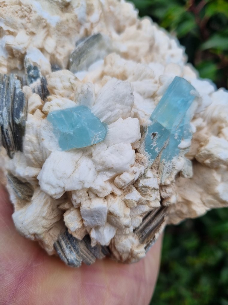 Cristalli di acquamarina grande HQ con schorl toermaline e mica su matrice Grezzo - Altezza: 150 mm - Larghezza: 145 mm- 1626 g #2.1