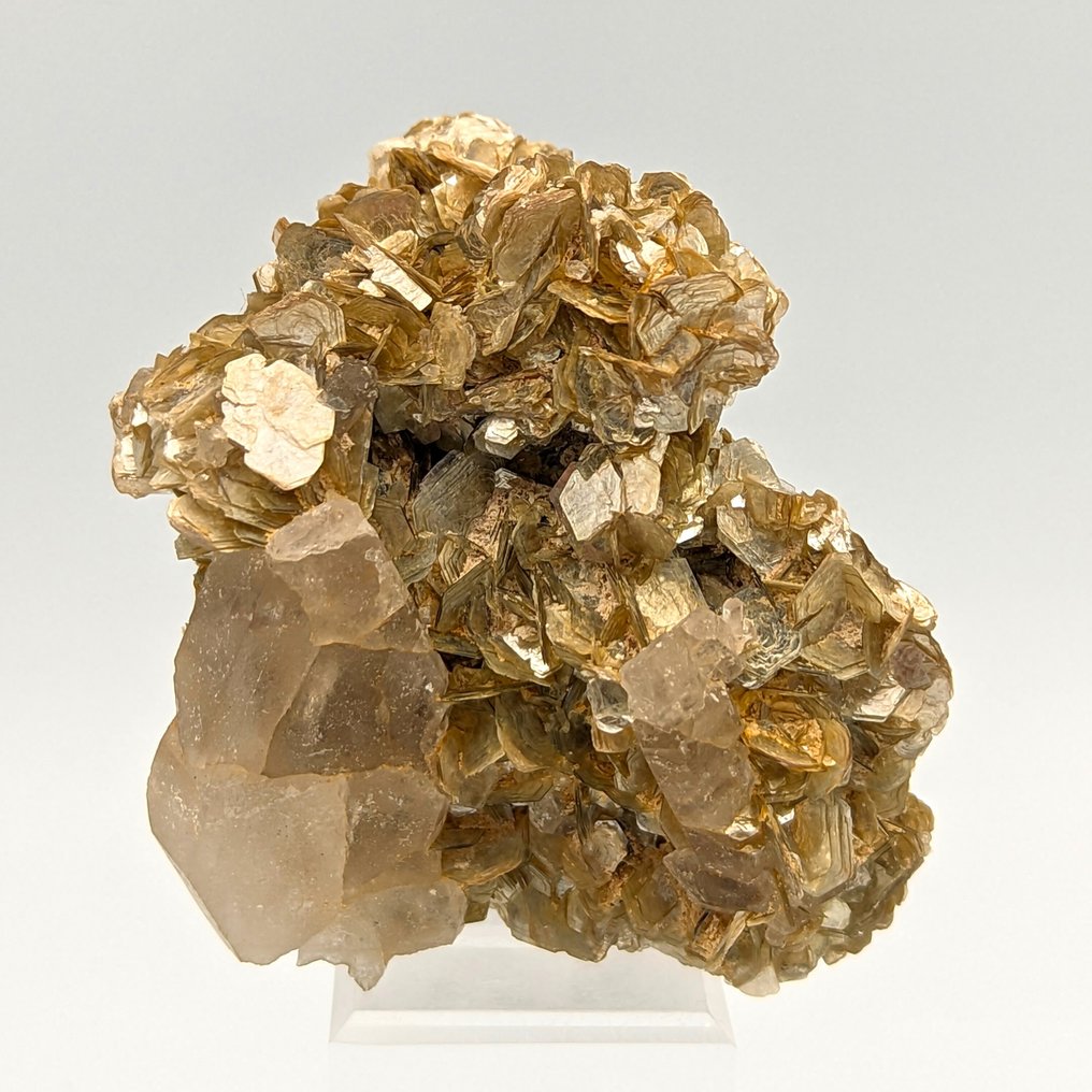 金色莫斯科闪长岩云母花，花瓣状水晶 矩陣晶體 - 高度: 93 mm - 闊度: 75 mm- 185 g - (1) #1.0