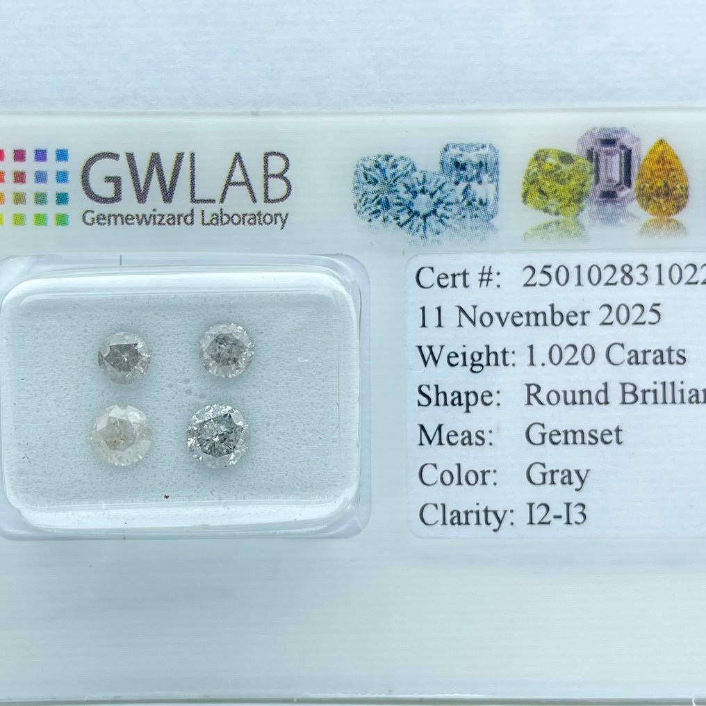 沒有保留價 - 4 pcs 鑽石  (天然彩色)  - 1.02 ct - 圓形 灰色 - I2, I3 - Gemewizard Gemological Laboratory (GWLab) #1.0