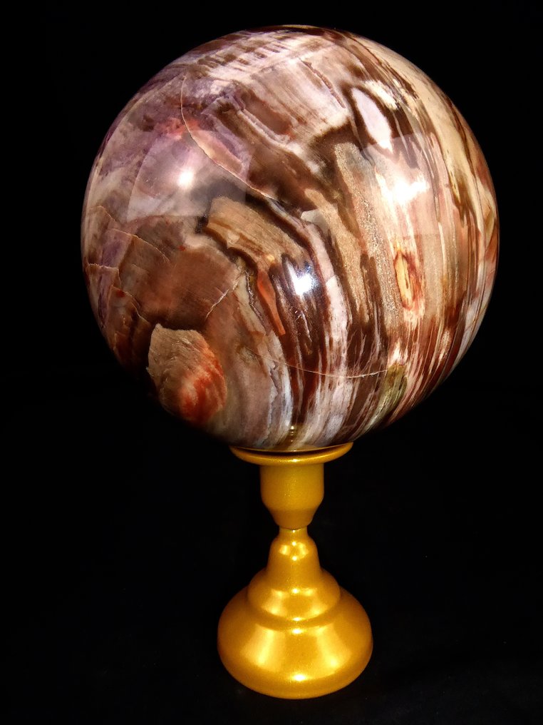 Legno fossile Sfera - Altezza: 12.7 cm - Larghezza: 12.7 cm- 2772 g - (1) #2.1