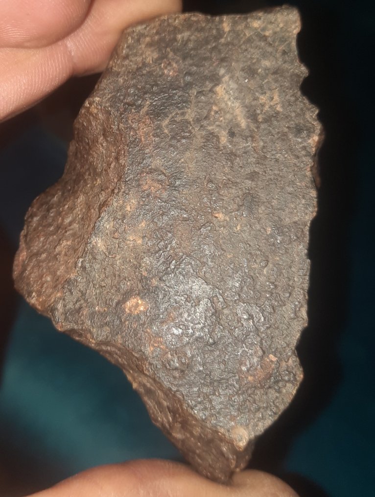 Chondrite Chondrite Meteorite - Height: 82 cm - Width: 50 cm - 187.2 g - (1) #4.3