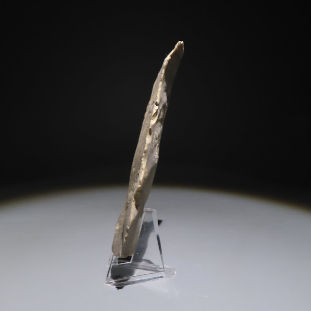 新石器时代 燧石 工具。斯皮恩，公元前4500-3500年。高10.8厘米。西班牙进口许可证。  (没有保留价) #1.0