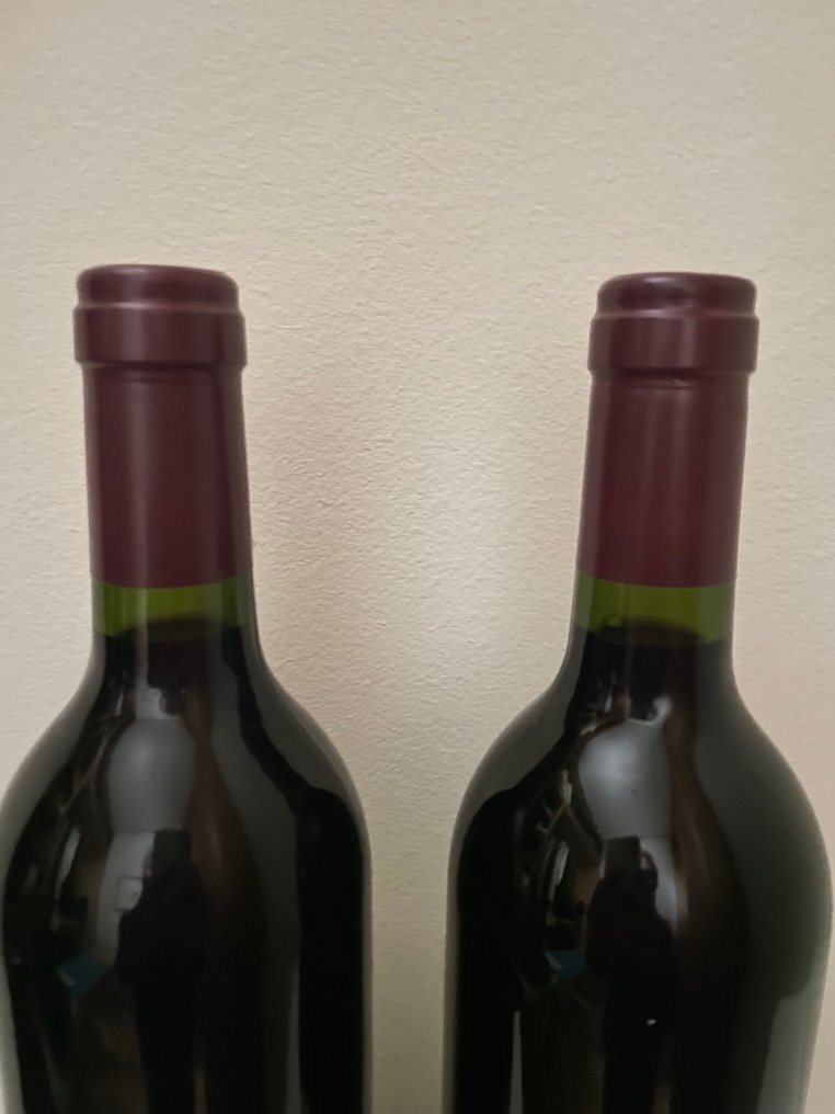 2002 Bodegas y Viñedos Alion - 斗罗河岸 - 2 Bottles (0.75L) #3.2