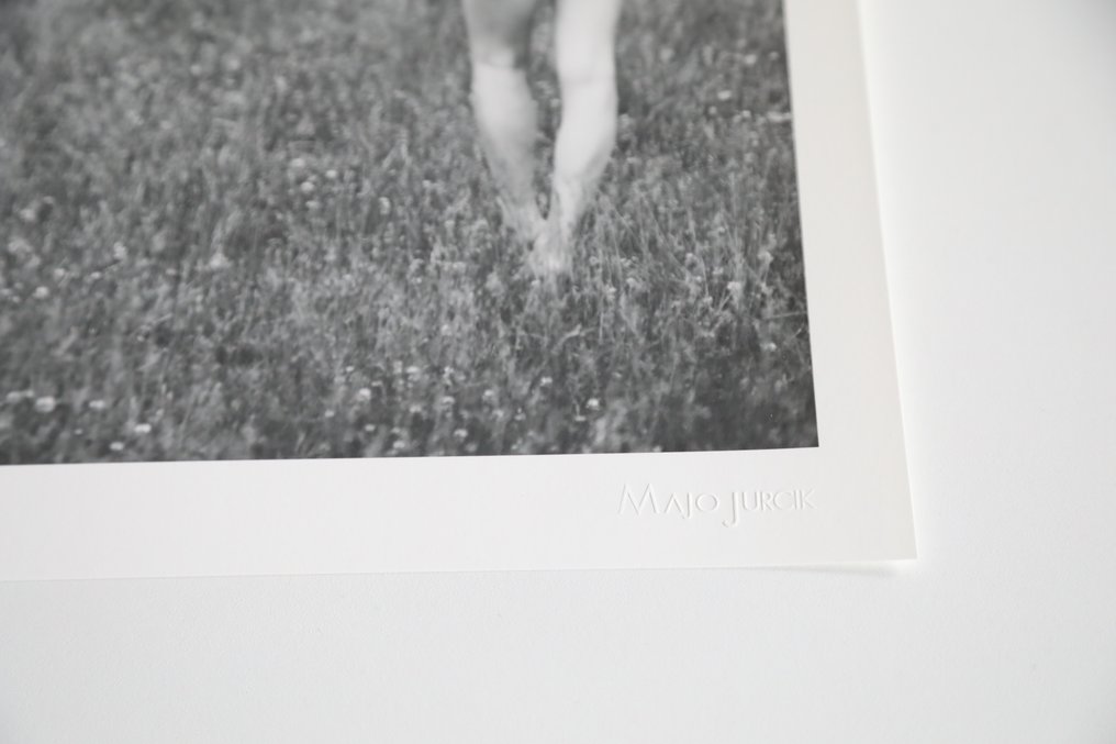 Majo Jurcik - Queen of fawns #3.2