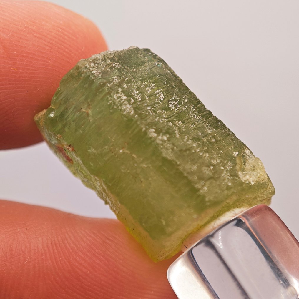 42,05 ct Nincs minimális ár! TOP XL A++ Heliodor Kristall- 8.41 g #3.2