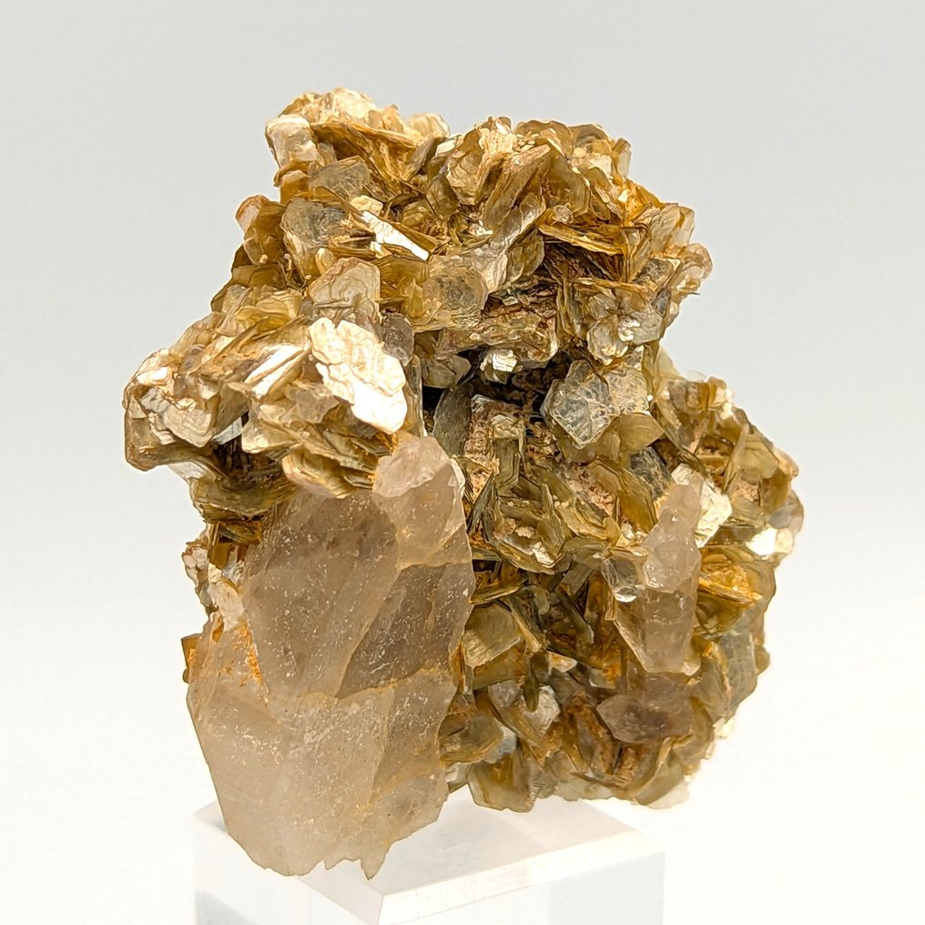 金色莫斯科闪长岩云母花，花瓣状水晶 矩陣晶體 - 高度: 93 mm - 闊度: 75 mm- 185 g - (1) #4.3