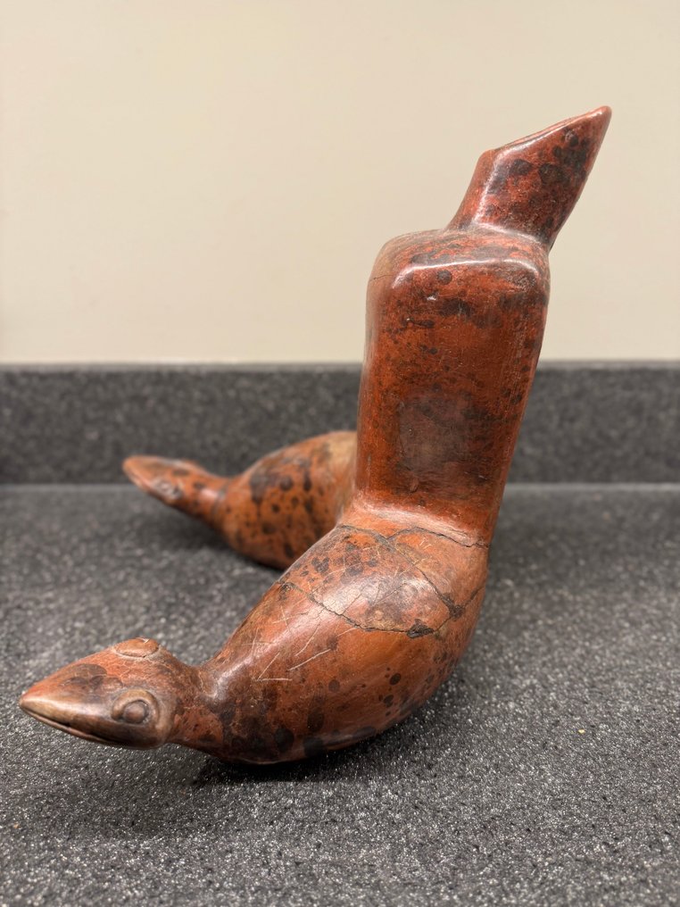 Γλυπτό από πηλό, προκολομβιανό σαλανό. - Πολιτισμός Κολίμα - Μεξικό #2.1