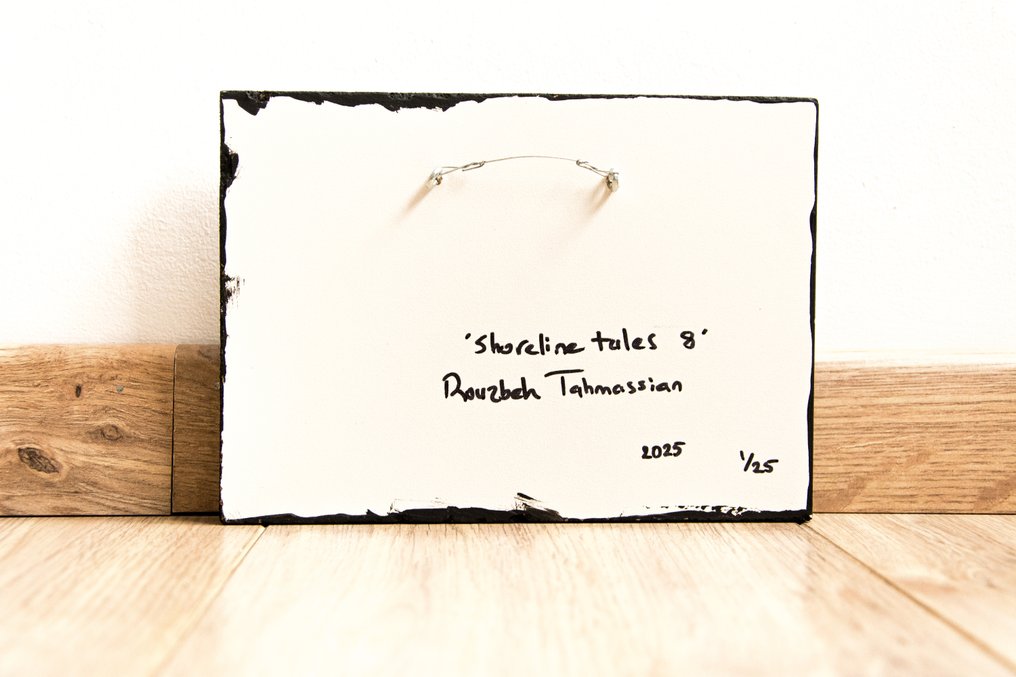 Rouzbeh Tahmassian - Shoreline tales #8 - No reserve price #3.2