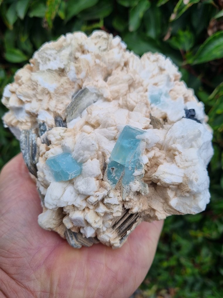 Cristalli di acquamarina grande HQ con schorl toermaline e mica su matrice Grezzo - Altezza: 150 mm - Larghezza: 145 mm- 1626 g #1.0