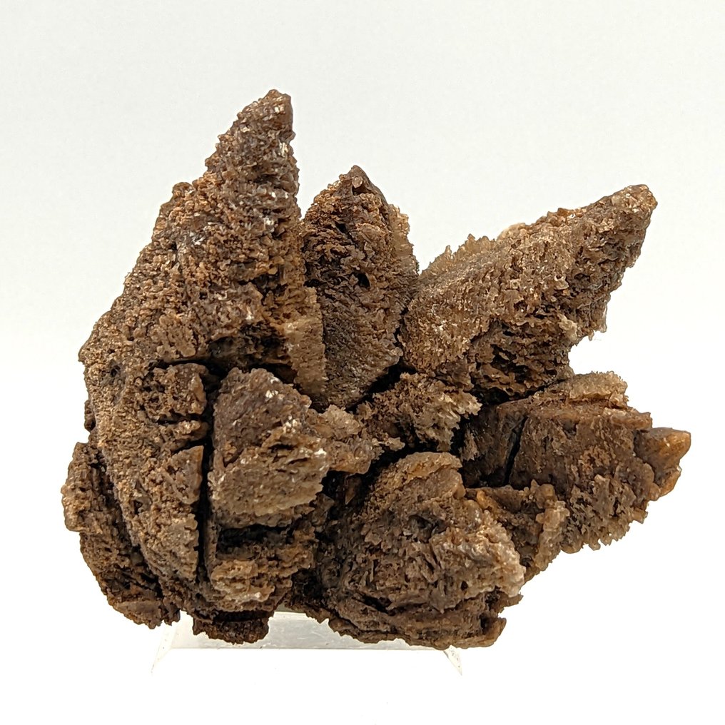 Calcită scheletrată, cristalli scalenoedrici, Sardegna TOP Cristale pe matrice - Înălțime: 80 mm - Lățime: 70 mm- 127 g #4.3