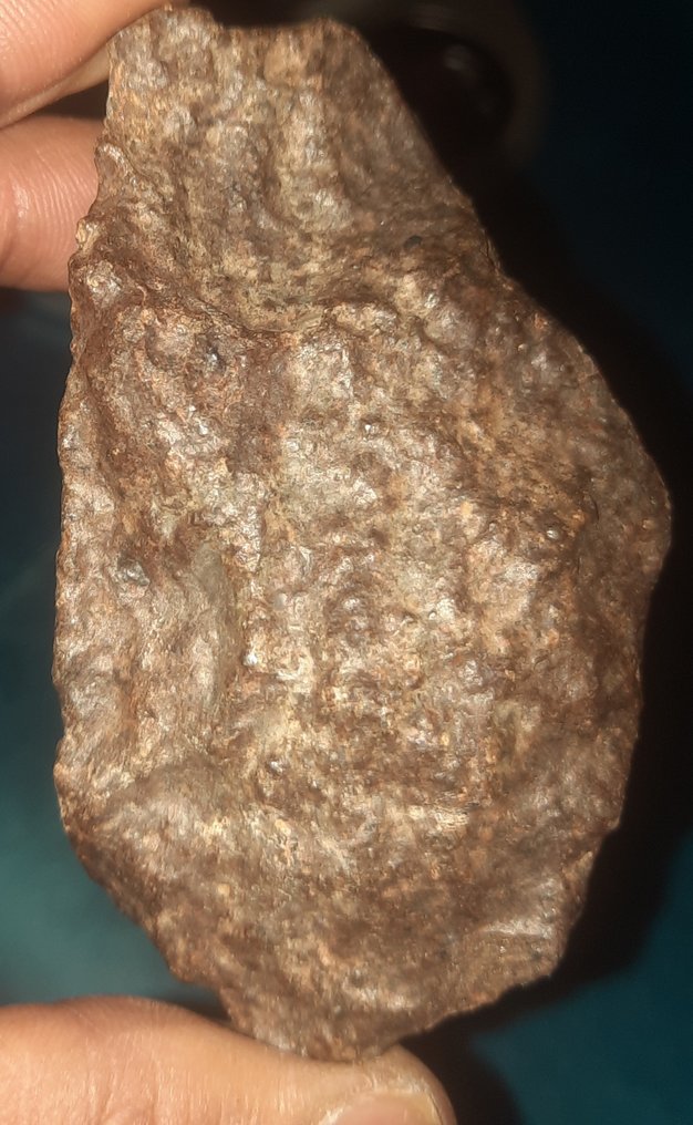 Chondrite Chondrite Meteorite - Height: 82 cm - Width: 50 cm - 187.2 g - (1) #1.0