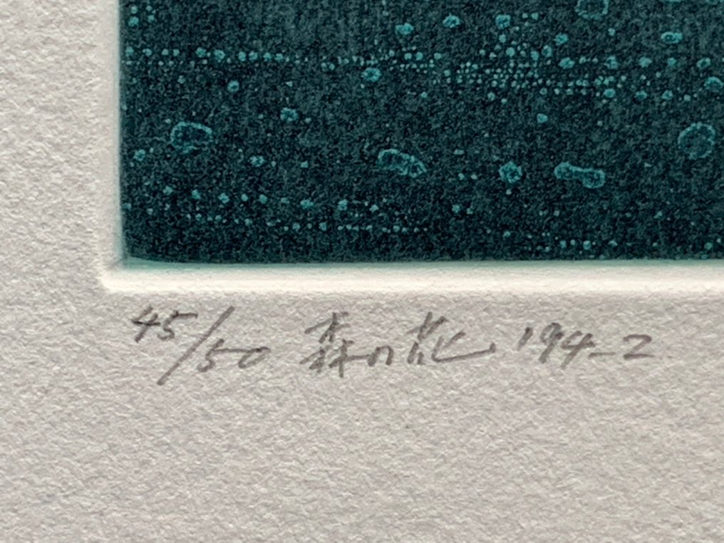 Forest flowers - NO RESERVE PRICE - Shinji Ando 安藤真司 (b 1948) - Japan  (No Reserve Price) #4.3