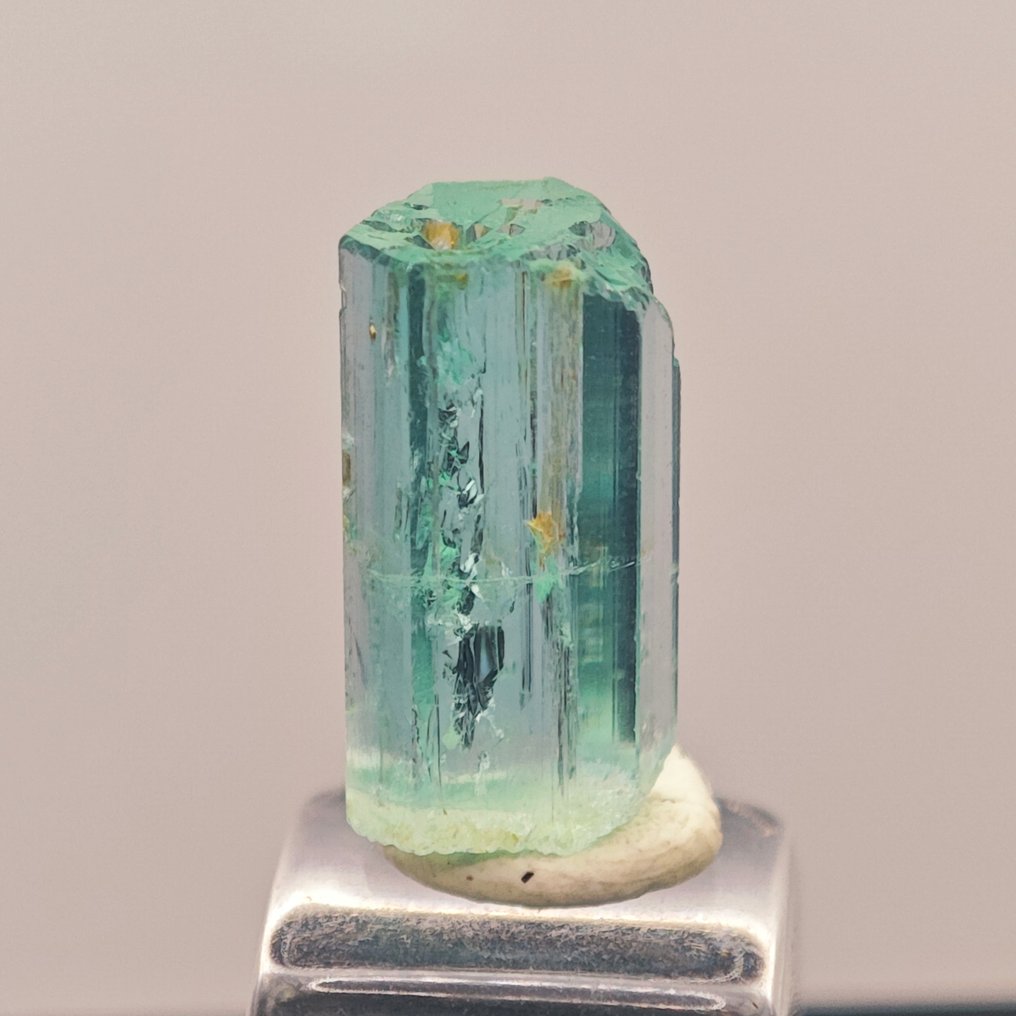 3.2 克拉 顶级珠宝品质的定制钒绿色宝石水晶！- 0.64 g #1.0