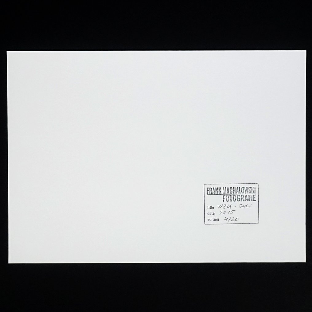 Frank Machalowski - WZU #2.1