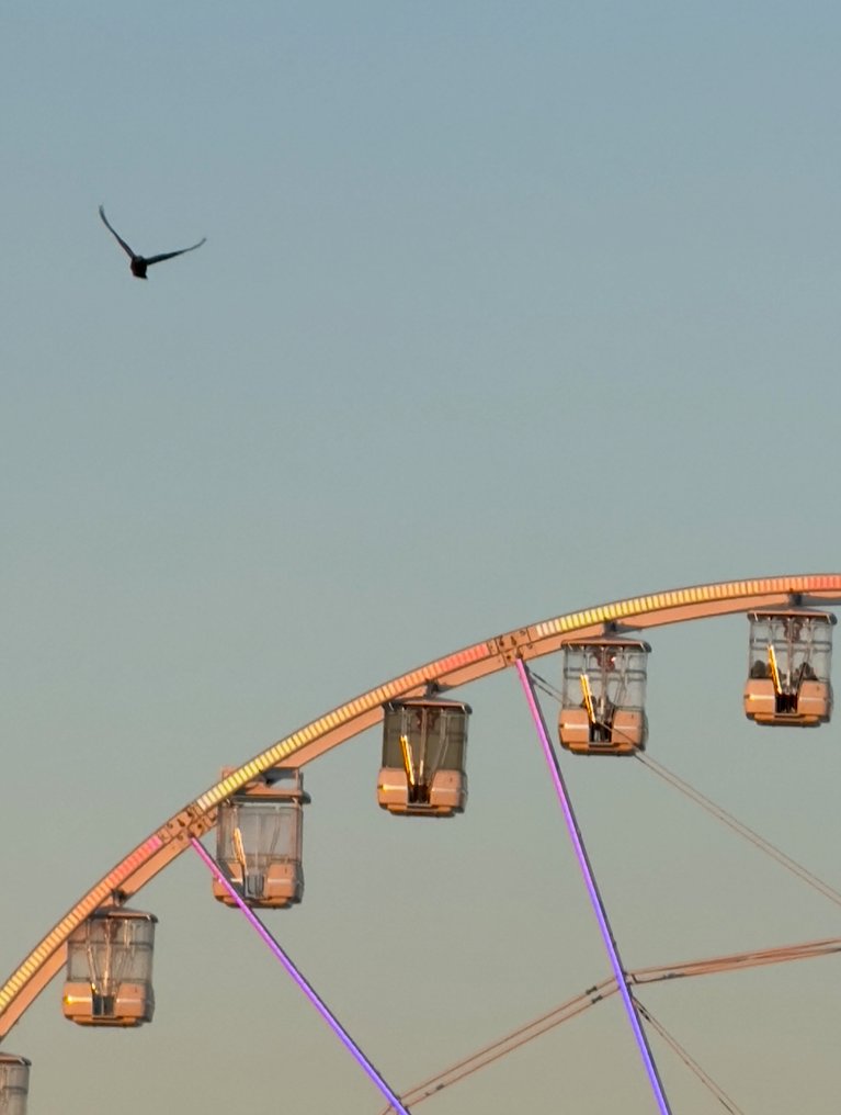 Anna Marzia Soria - Flight #4.3