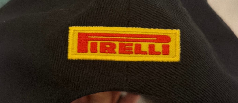 Formule 1 - Lando Norris - Pet #3.2