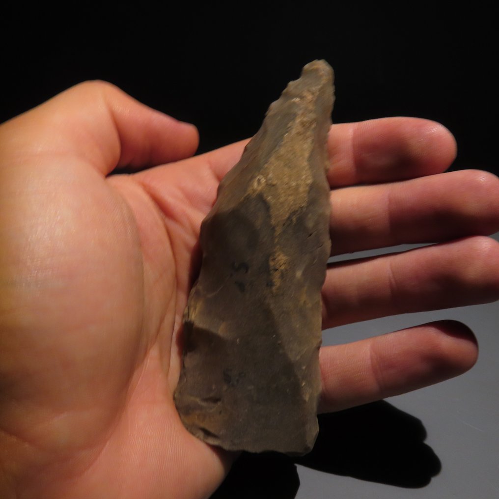 新石器时代 燧石 工具。斯皮恩,公元前4500-3500年。高10.2厘米。西班牙进口许可证。 (没有保留价) #4.3