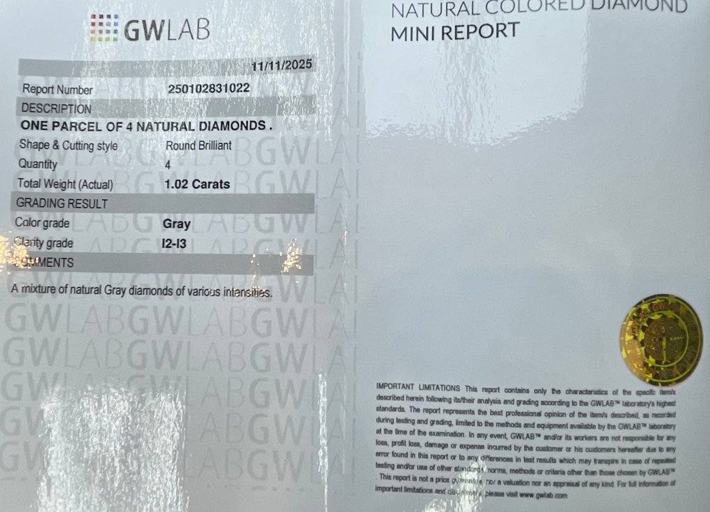 沒有保留價 - 4 pcs 鑽石  (天然彩色)  - 1.02 ct - 圓形 灰色 - I2, I3 - Gemewizard Gemological Laboratory (GWLab) #2.1