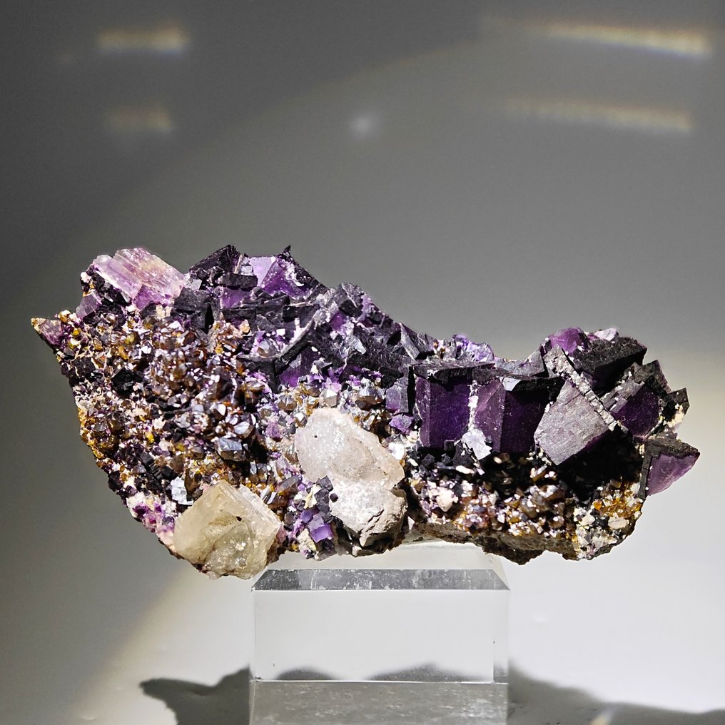 萤石紫色和闪锌矿宝石，美国 矩陣晶體 - 高度: 104 mm - 闊度: 51 mm- 118 g #3.2