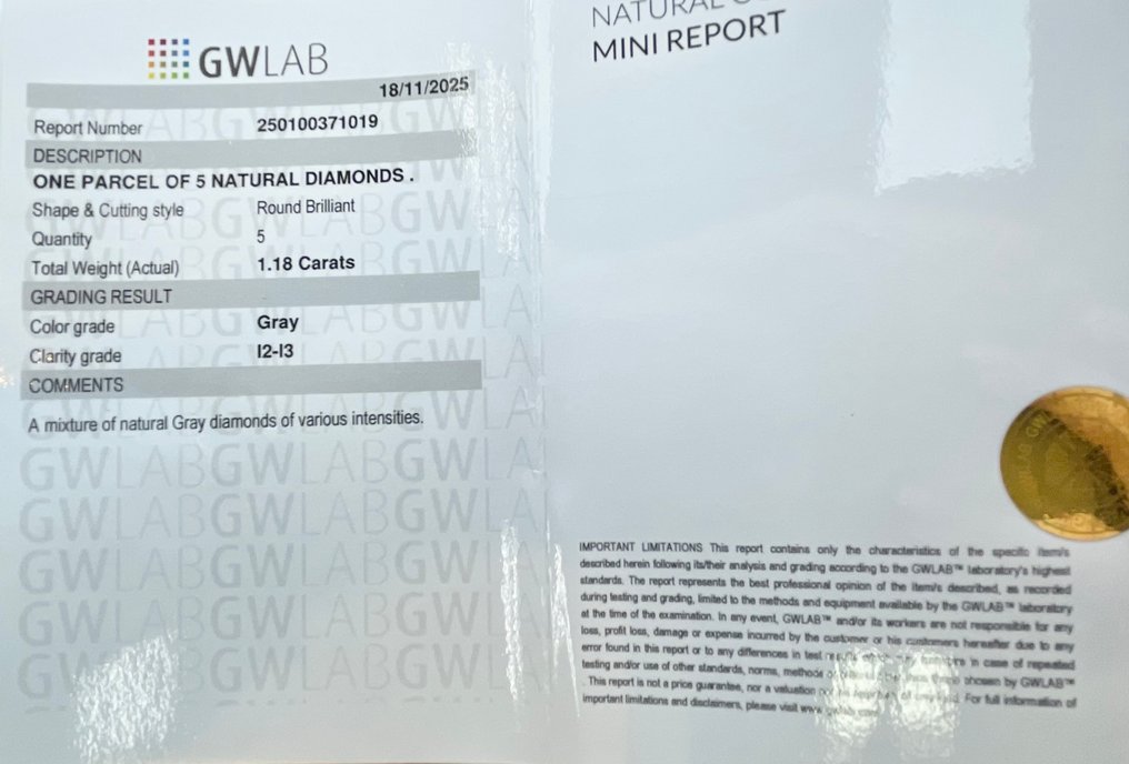 沒有保留價 - 5 pcs 鑽石  (天然彩色)  - 1.18 ct - 圓形 灰色 - I2, I3 - Gemewizard Gemological Laboratory (GWLab) #2.1