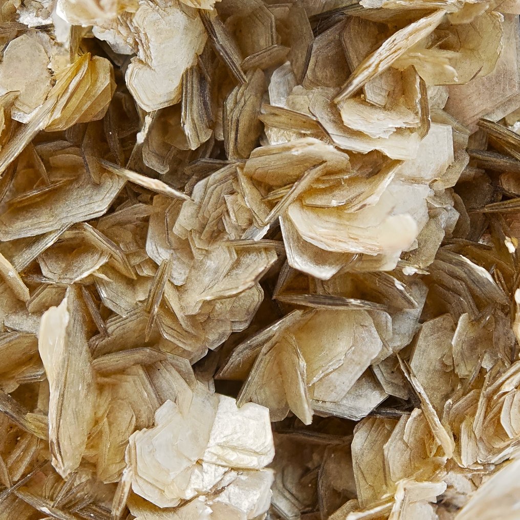 金色莫斯科闪长岩云母花，花瓣状水晶 矩陣晶體 - 高度: 93 mm - 闊度: 75 mm- 185 g - (1) #1.0