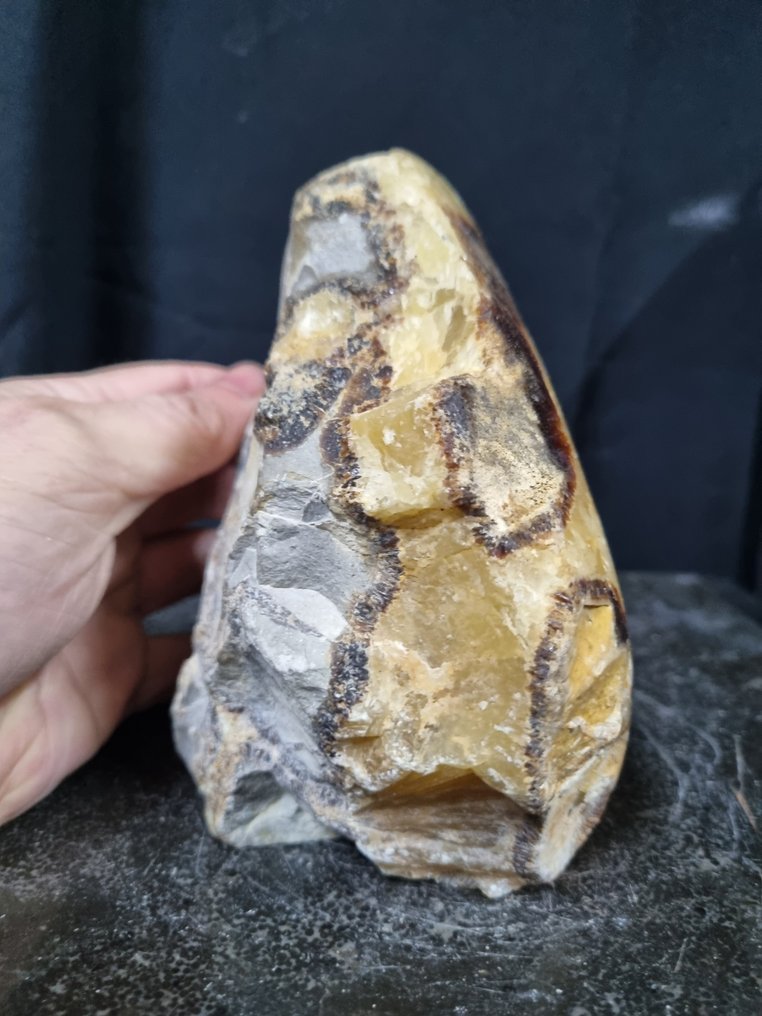 XXL Septaria, Septarie sculpture - Height: 148 mm - Width: 155 mm- 2640 g #4.3