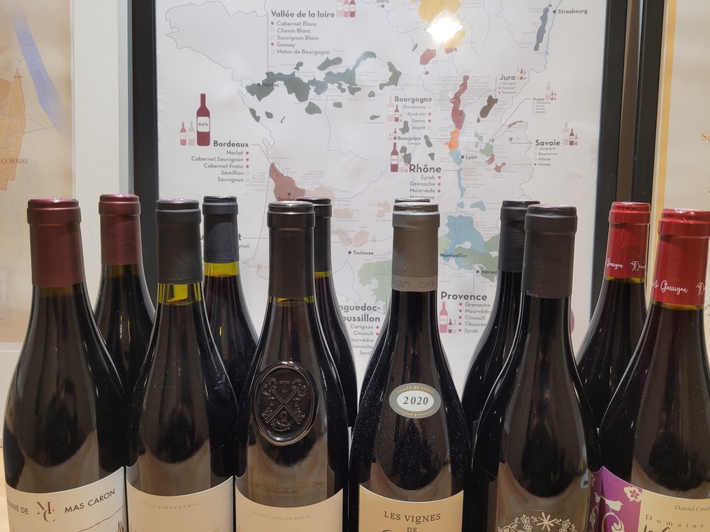 Selection red wine vallee du rhone - Rhône - 12 Pullo (0.75L) #4.3