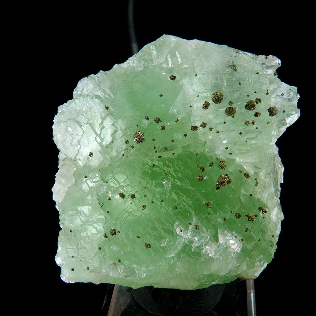 黃鐵礦附著在螢石上 - 摩洛哥中阿特拉斯山脈赫米塞特埃爾哈馬姆礦 - 高度: 6 cm - 闊度: 5.5 cm- 178 g #1.0