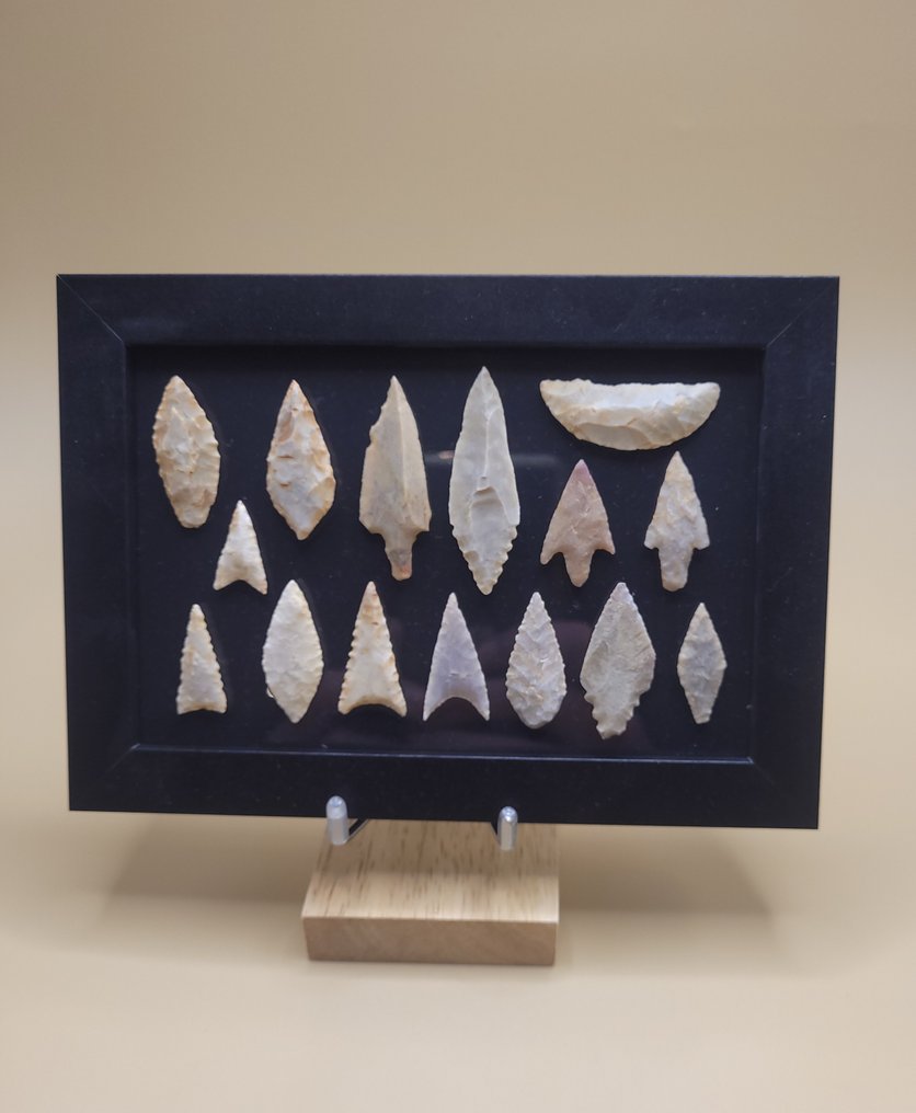 Neolithic Flint Collection of 15 Neolithic arrow points (no reserve price)  (No Reserve Price) #1.0