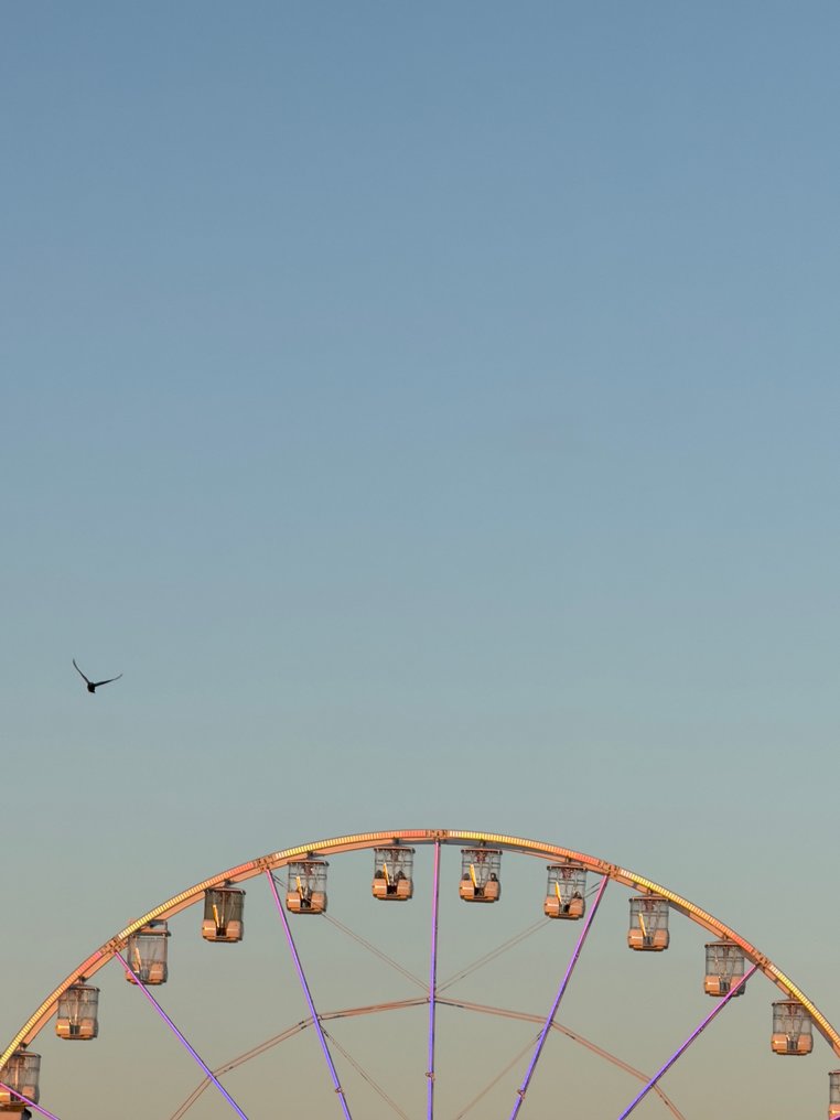 Anna Marzia Soria - Flight #1.0