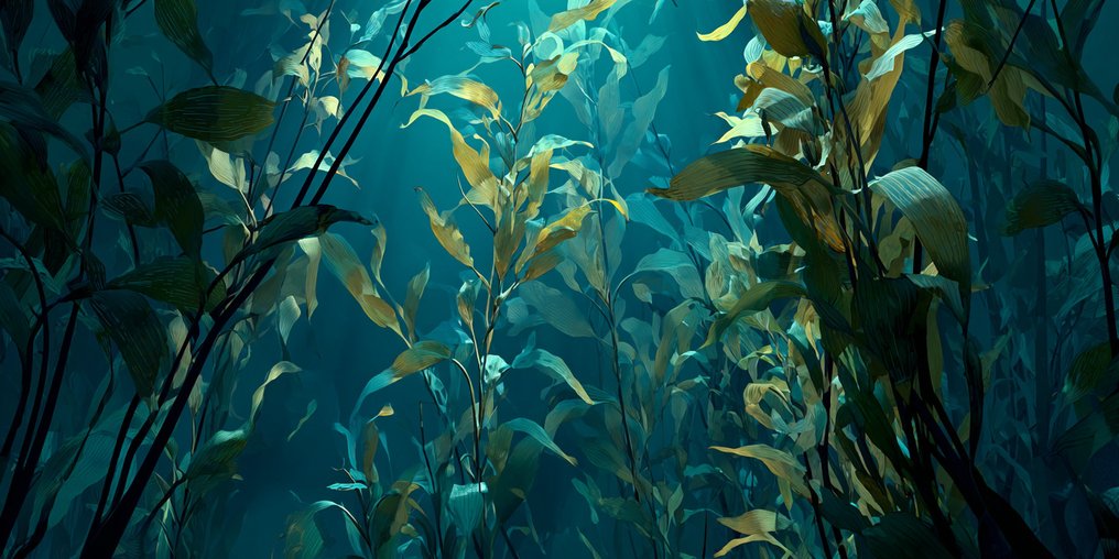 Miss Evoke - Eclipse - XXL #1.0