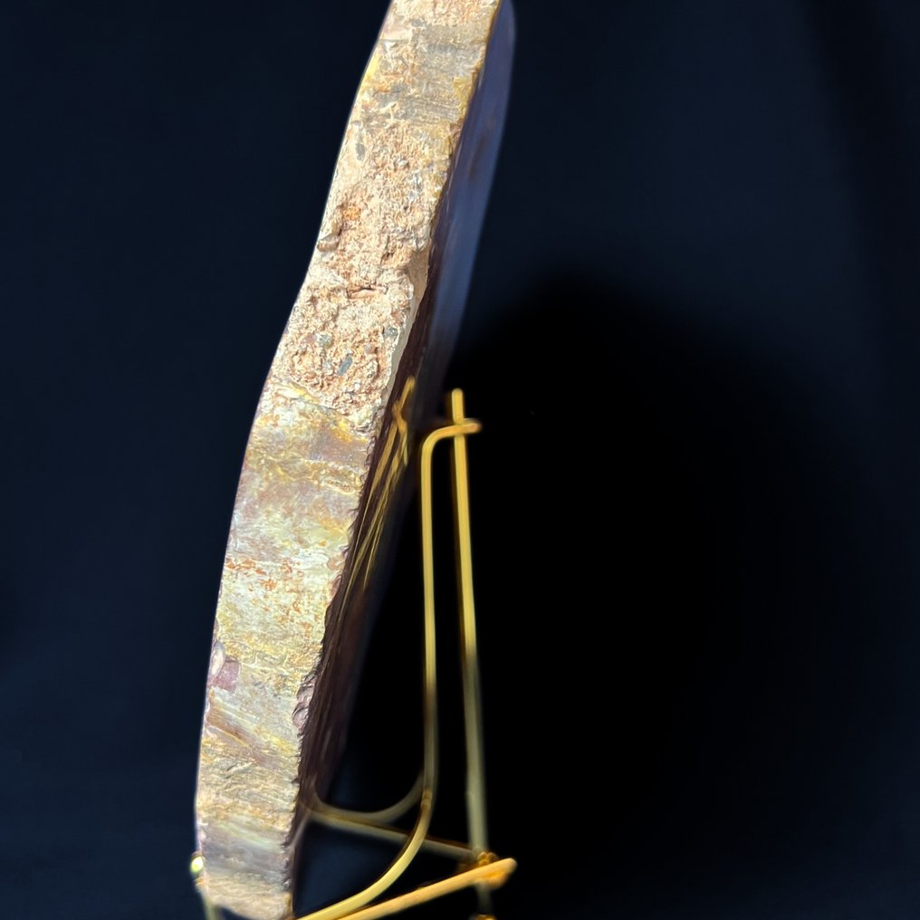 Araukaria large dendrolite fossilized wood, fossilized wood from a 30-meter-large Araukaria. 710g, 17.50 x 16.00 cm, genuine fossilized precious wood, petrified wood, museum piece- 710 g #2.1