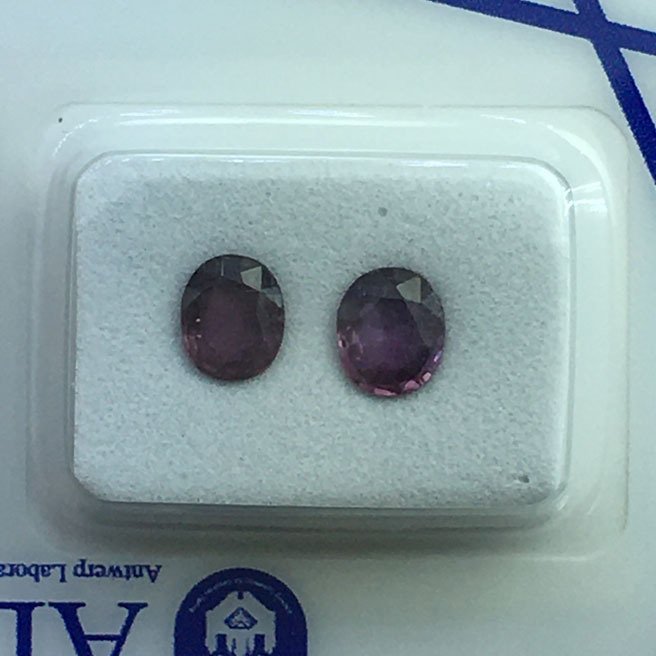 Zonder minimumprijs - 2 pcs Paars Saffier - 1.36 ct - Antwerp Laboratory for Gemstone Testing (ALGT) - Natuurlijke saffier #4.3