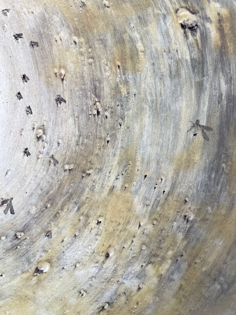 Miquel Barceló (after) - Constelació Nº4 - Offset Lithography -  Licensed print #4.3