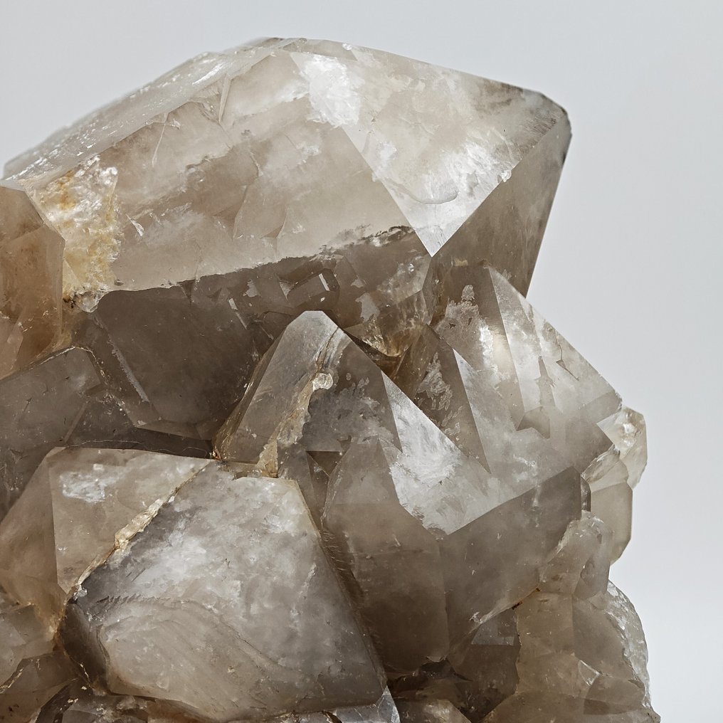 Grosso QUARZO FUMÈ ALPINO ELESTIAE e SCETTRO, Italia Cristalli - Altezza: 170 mm - Larghezza: 118 mm- 1553 g #1.0