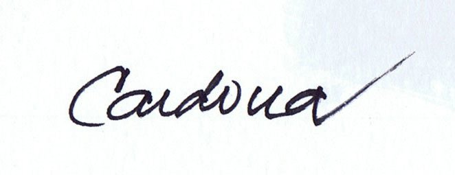 Cardona - 1 Watercolour - Mickey Mouse #4.3