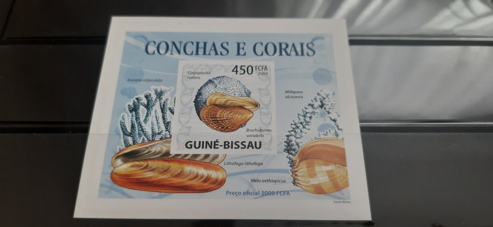 World 1970/2003 - flora and fauna of the world. world art-sheets of the USSR - 34-2765 #1.0