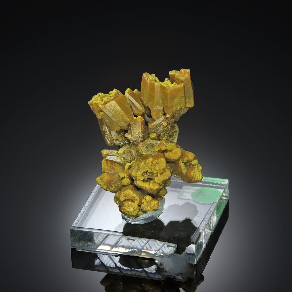 Παλαιό βοτριωδές PYROMORPHITE από τη Γαλλία «Ex Erik Larsen» Δείγμα - Ύψος: 4 cm - Πλάτος: 3 cm- 42 g #1.0