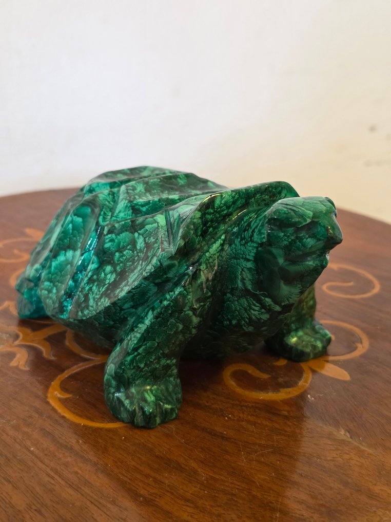 Γλυπτό, Tartaruga in Malachite - 16 cm - Malachite #1.0