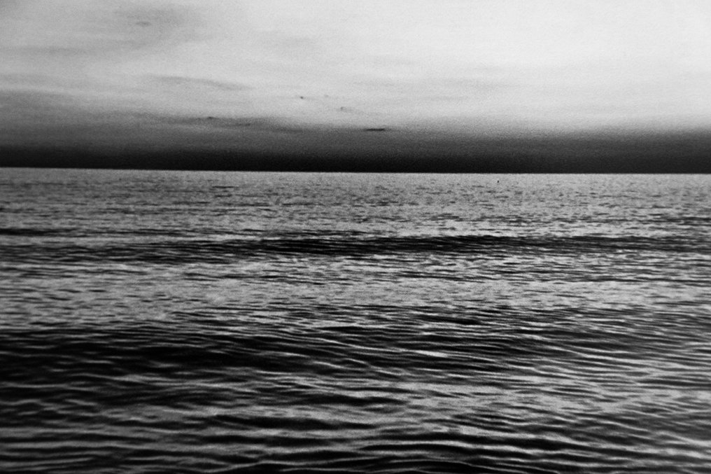 Rouzbeh Tahmassian - Shoreline tales #8 - No reserve price #4.3