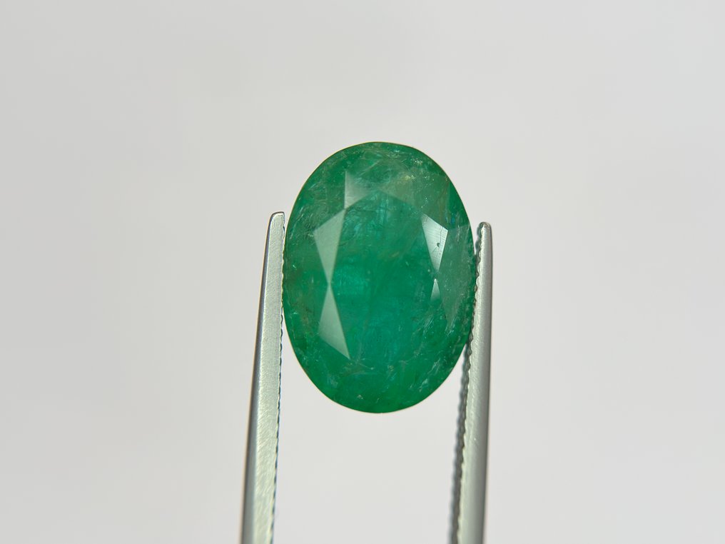 χωρίς τιμή ασφαλείας - 1 pcs  Πράσινο Σμαράγδι  - 11.53 ct - Lotus Gemology - Πλούσιο Πράσινο #3.2