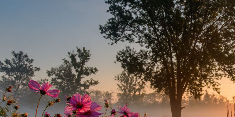 Miss Evoke - Fragmentary - XXL #2.1