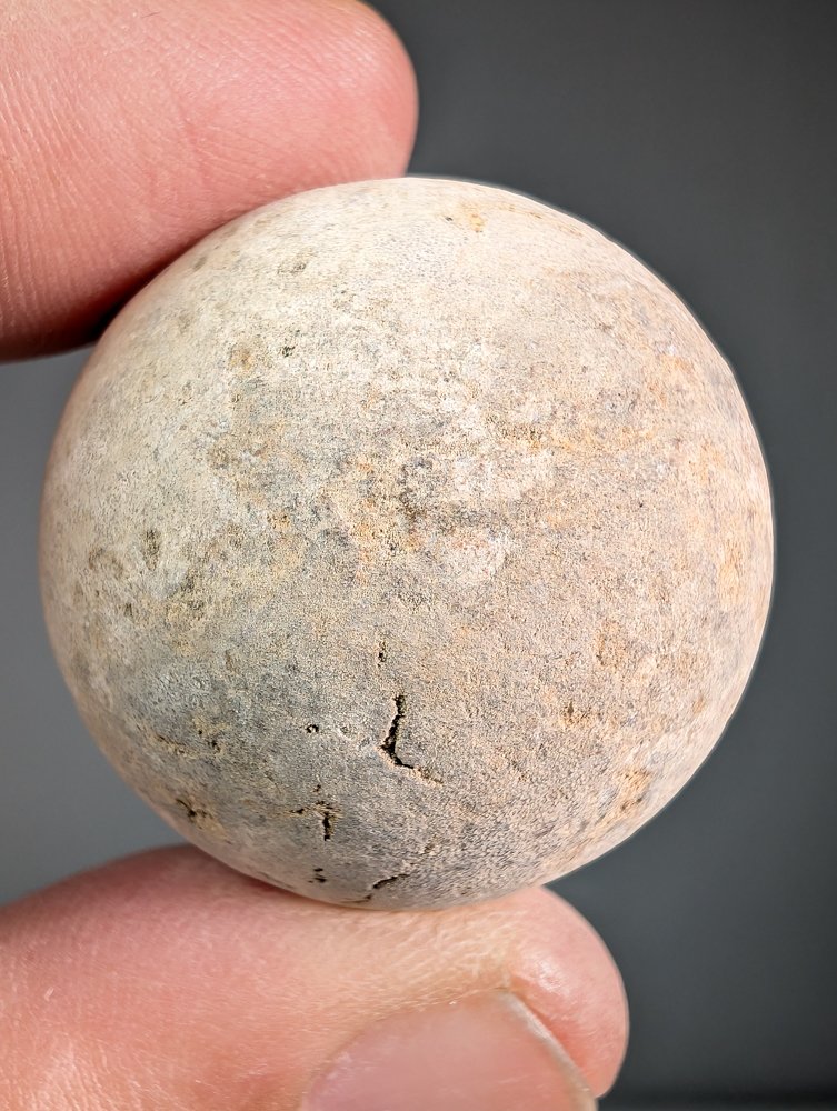 Sea turtle egg - Fossilised egg - Panchelonioidea sp. - 3.5 cm - 3.5 cm  (No Reserve Price) #1.0