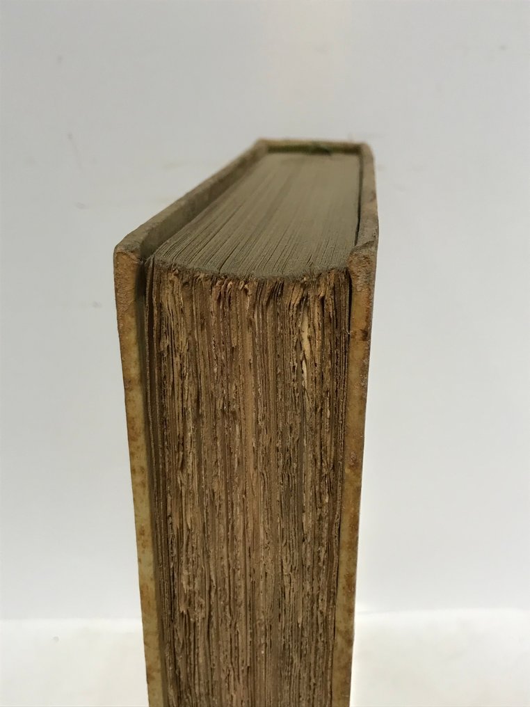 Gabriel d'Annunzio  / Sylvain Sauvage - Triomphe de la mort - 1923 #4.3