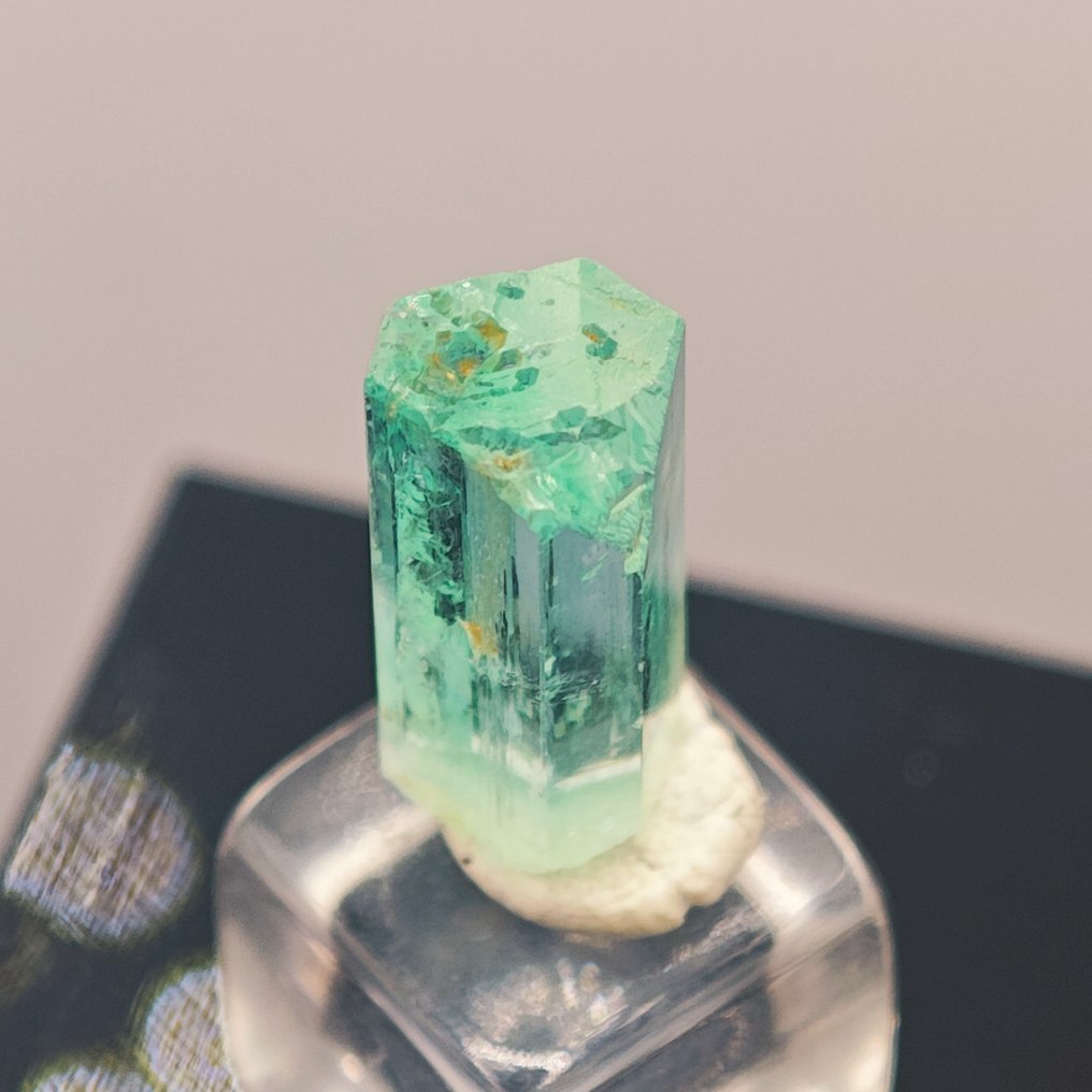 3.2 克拉 顶级珠宝品质的定制钒绿色宝石水晶！- 0.64 g #3.2