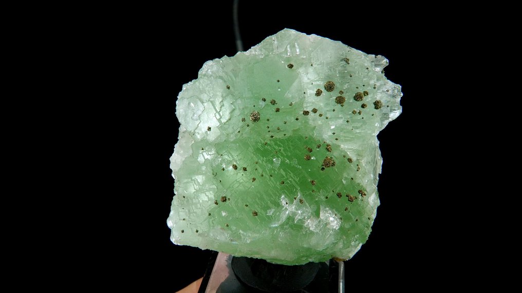 黃鐵礦附著在螢石上 - 摩洛哥中阿特拉斯山脈赫米塞特埃爾哈馬姆礦 - 高度: 6 cm - 闊度: 5.5 cm- 178 g #4.3