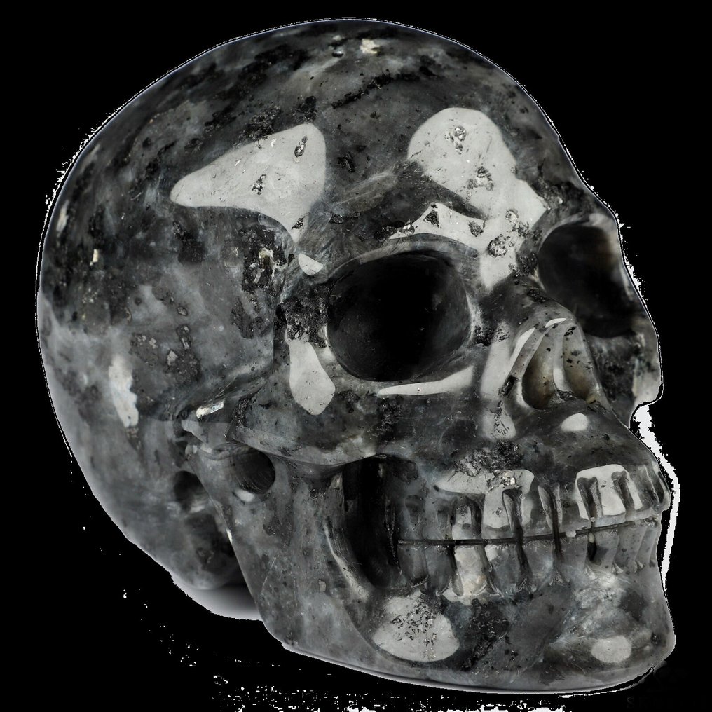 486 克 8.80 x 7.00 厘米 Larvikite 北极光 头骨 Plutonit Heimdalls 剑 最精致的Larvikite魔法骷髅Plutonite——哥特艺术品，宛如由Mithril制成- 486 g #1.0